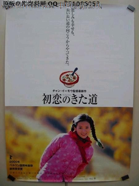 北海道大学薬学部 Computer Science Degree Certificate